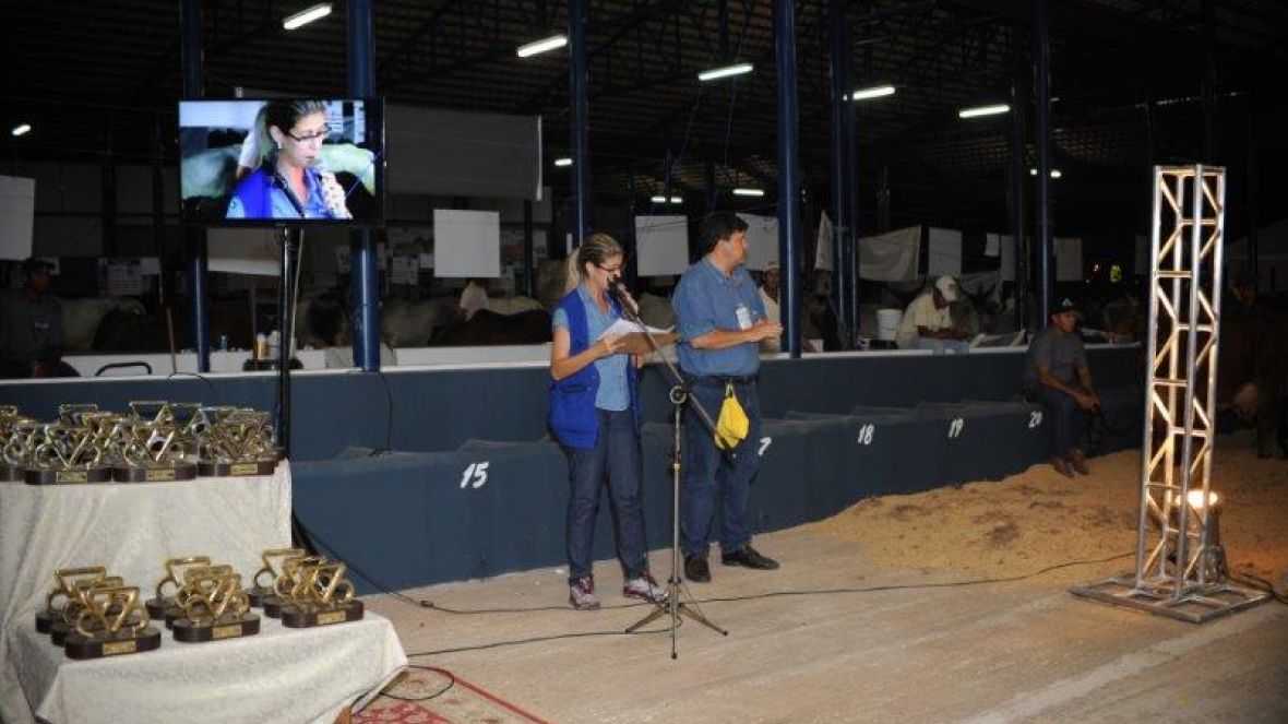 Concurso Leiteiro da ExpoZebu termina com 5 novos recordes