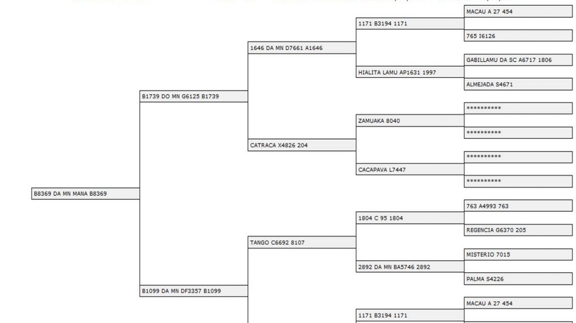 Encerrado processo de testes de paternidade de touros Nelore