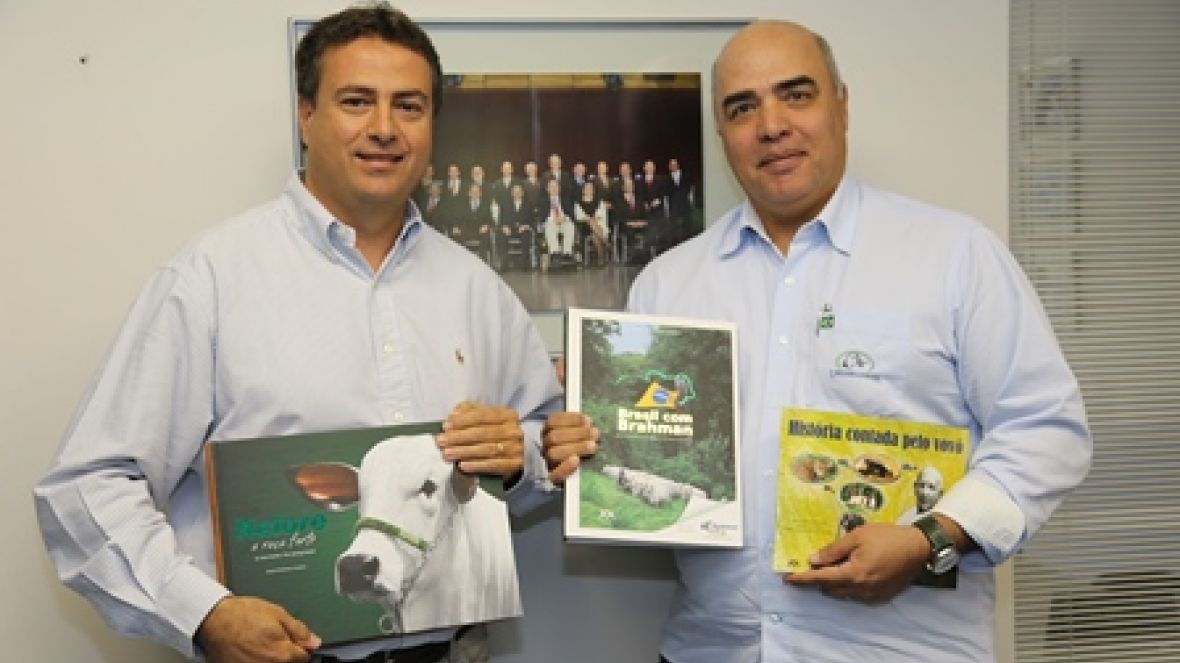 Nelore, Brahman e cultura   