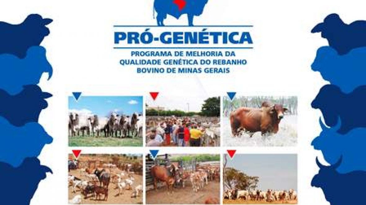 Coromandel recebe feira do Pro-Genética