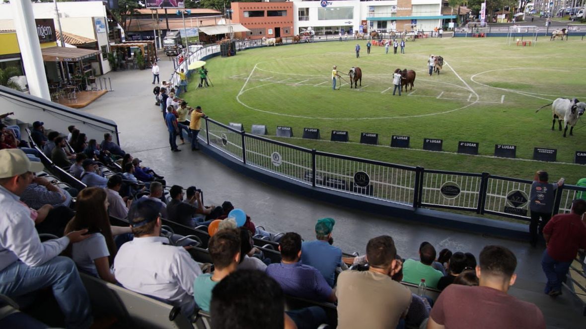 Nota oficial - Adiamento Julgamentos Brahman