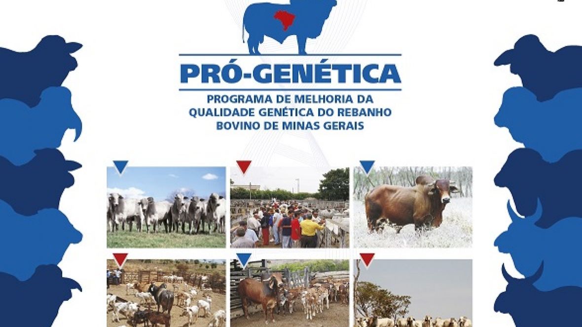 Coromandel sedia feira de touros do Pró-Genética pela primeira vez