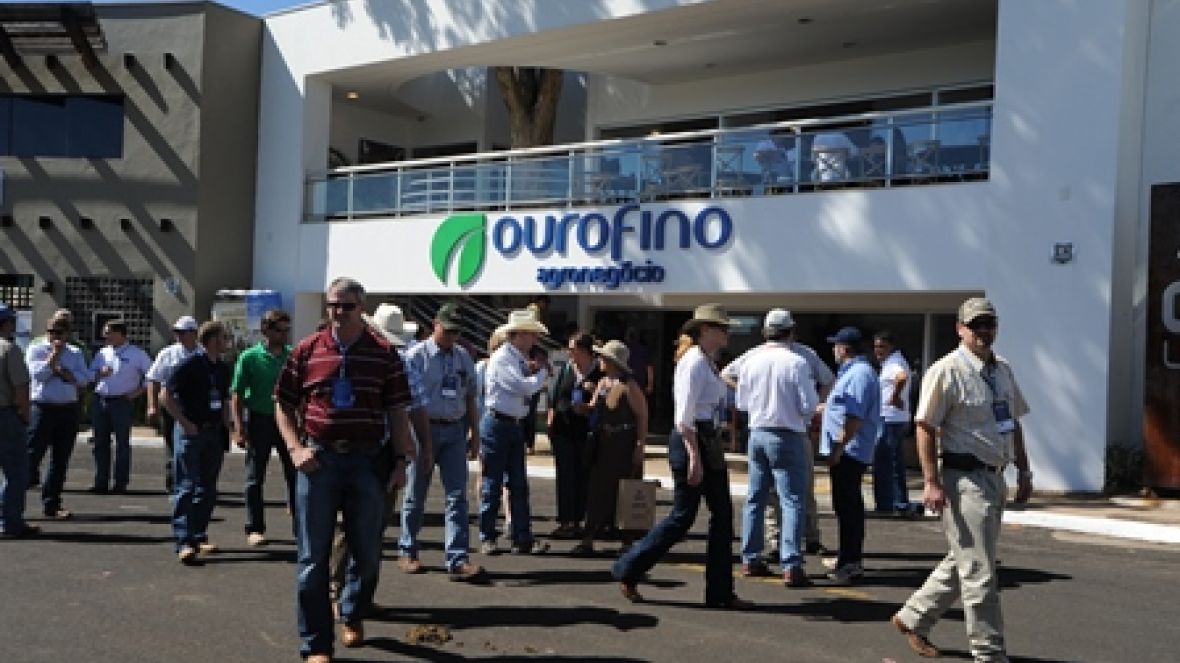 Brazilian Cattle o caminho do mercado internacional 