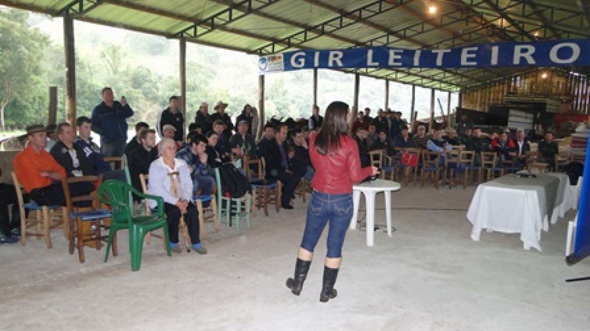 Zebu Leiteiro é atração de Dia de Campo no Sul