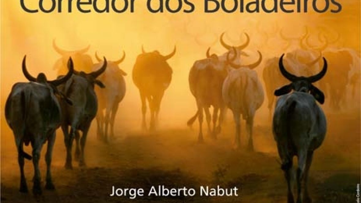 "Corredor de Boiadeiros" registra parte da história do zebu                         