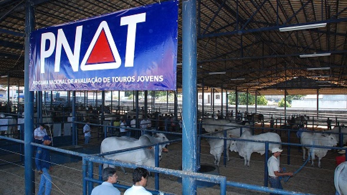 Inscrições para o PNAT encerram nesta terça-feira