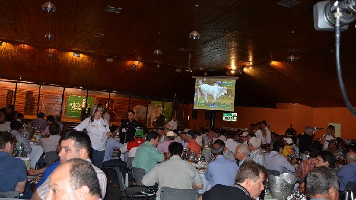 Leilões da ExpoGenética movimentam quase R$ 5 milhões
