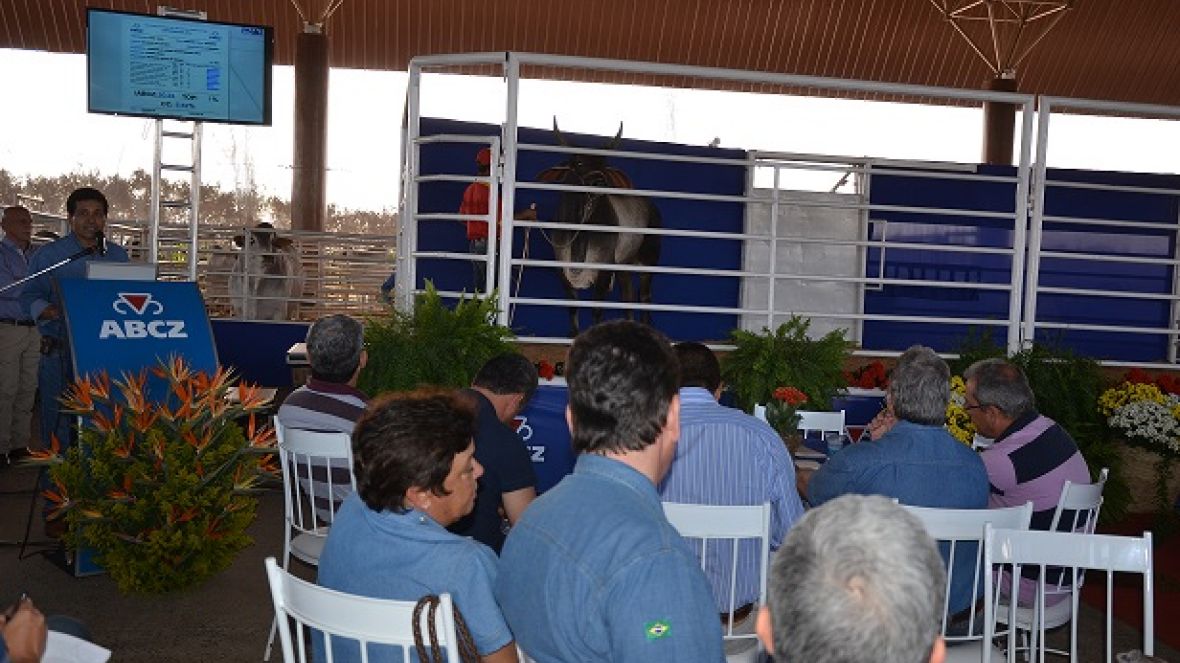 PNAT elege 17 touros para 5ª bateria