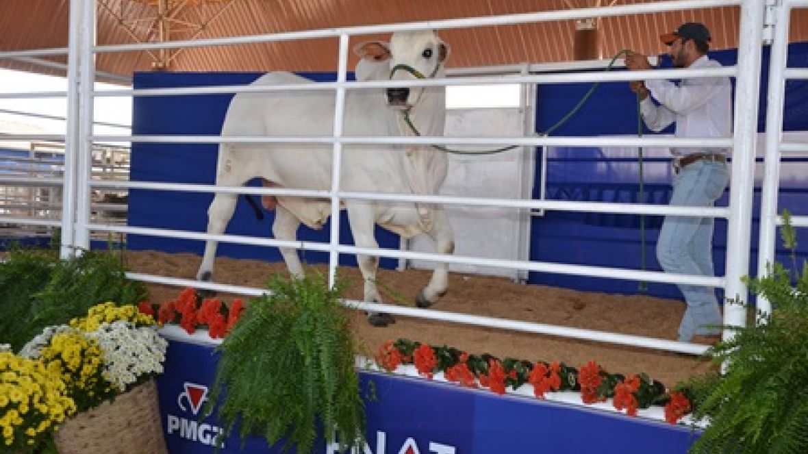 ExpoGenética encerra com sucesso em Uberaba 