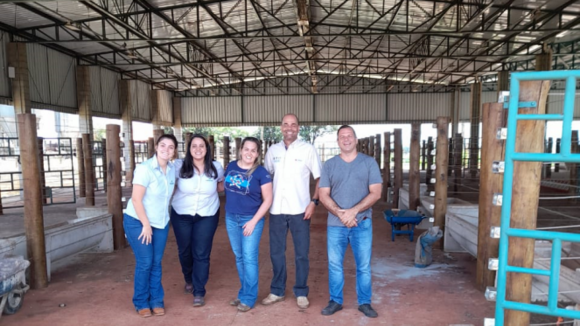Piracicaba receberá Feira de Touros Pró-Genética durante Coplacampo
