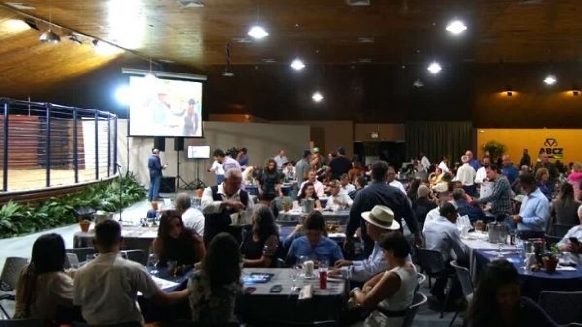 Leilões ExpoZebu 2022 movimentam mais de R$ 60 milhões 