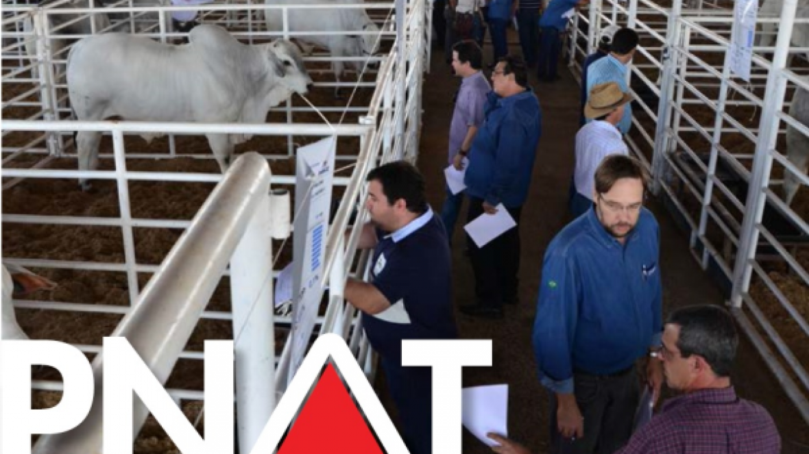 PNAT já tem quase 140 rebanhos colaboradores inscritos. Saiba como participar