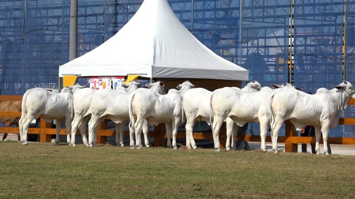 ABCZ marca presença na retomada da Expo Macaé no estado do Rio de Janeiro