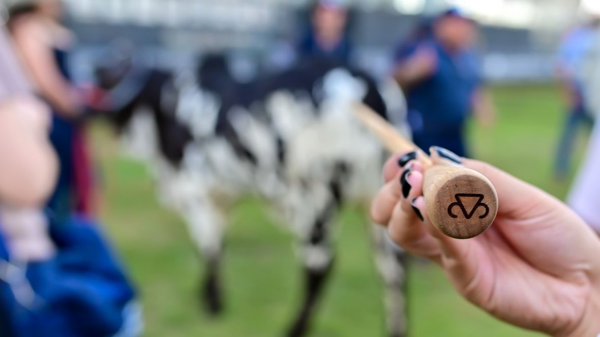 78º Curso de Exterior e Julgamento de Zebuínos acontecerá de 20 a 23 de julho