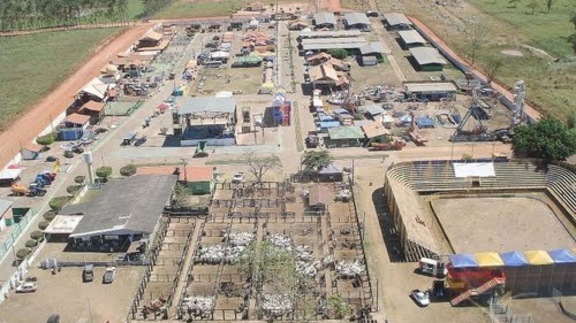 Diretor da ABCZ participa da exposição de Xinguara