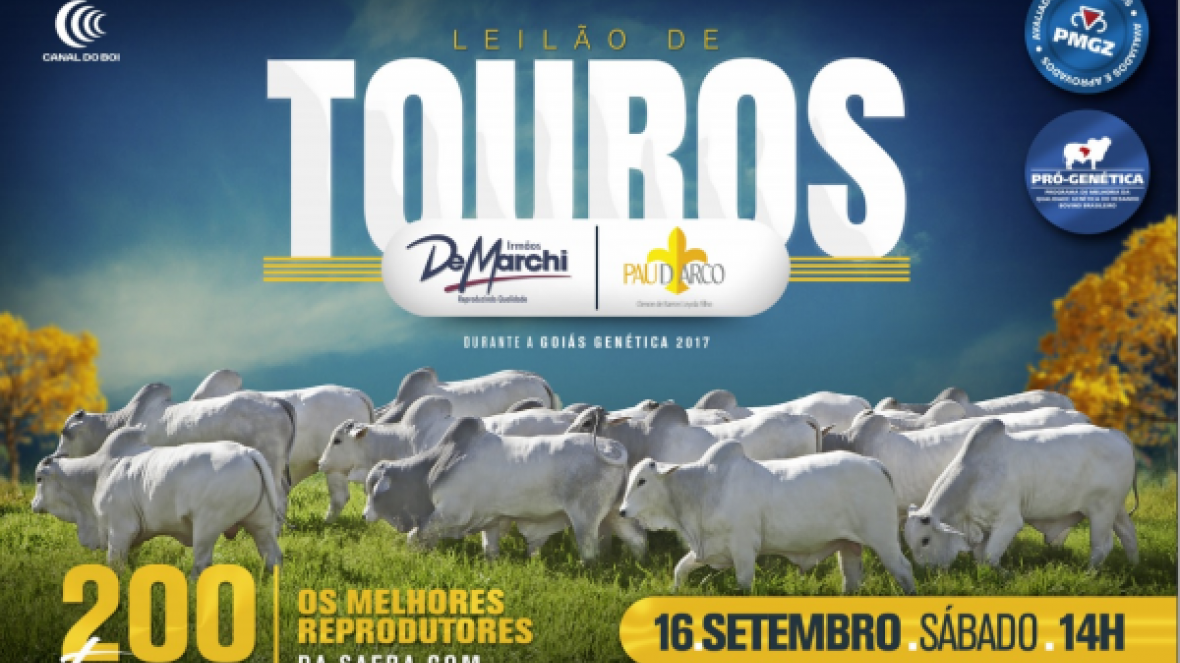 Leilão de Touros DeMarchi e Pau Darco oferta animais avaliados pelo PMGZ