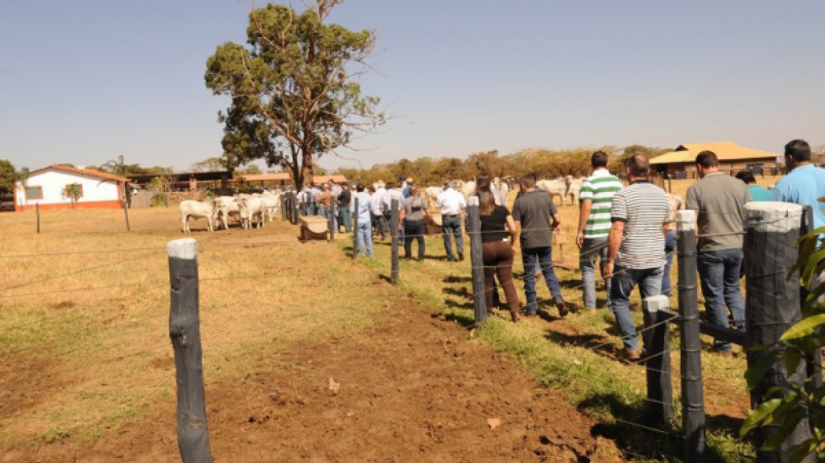 Circuito 100% PMGZ destaca evolução do Tabapuã