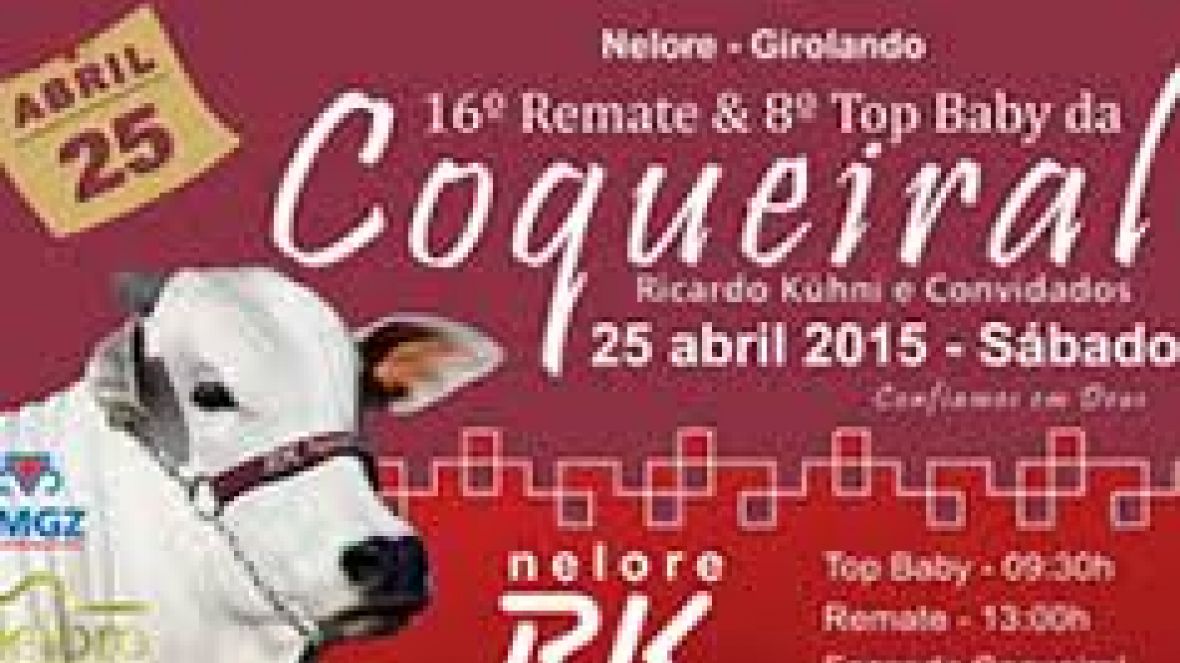 Leilão homologado PMGZ é atração em Sairé/PE