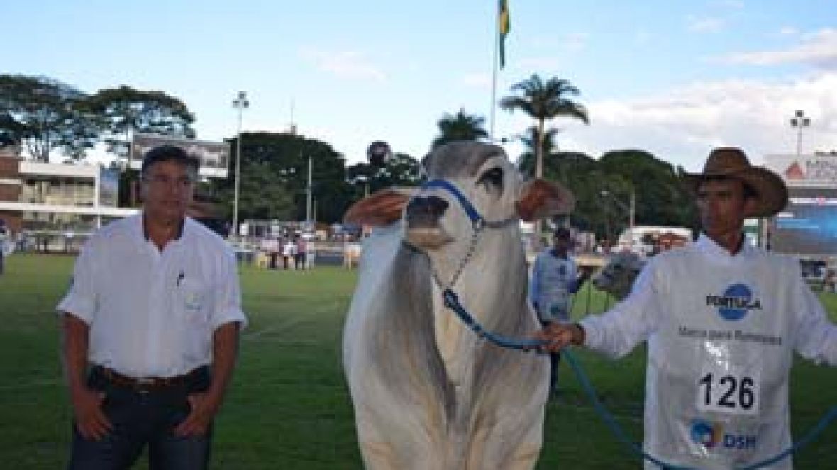 Tabapuã anuncia Grandes Campeões