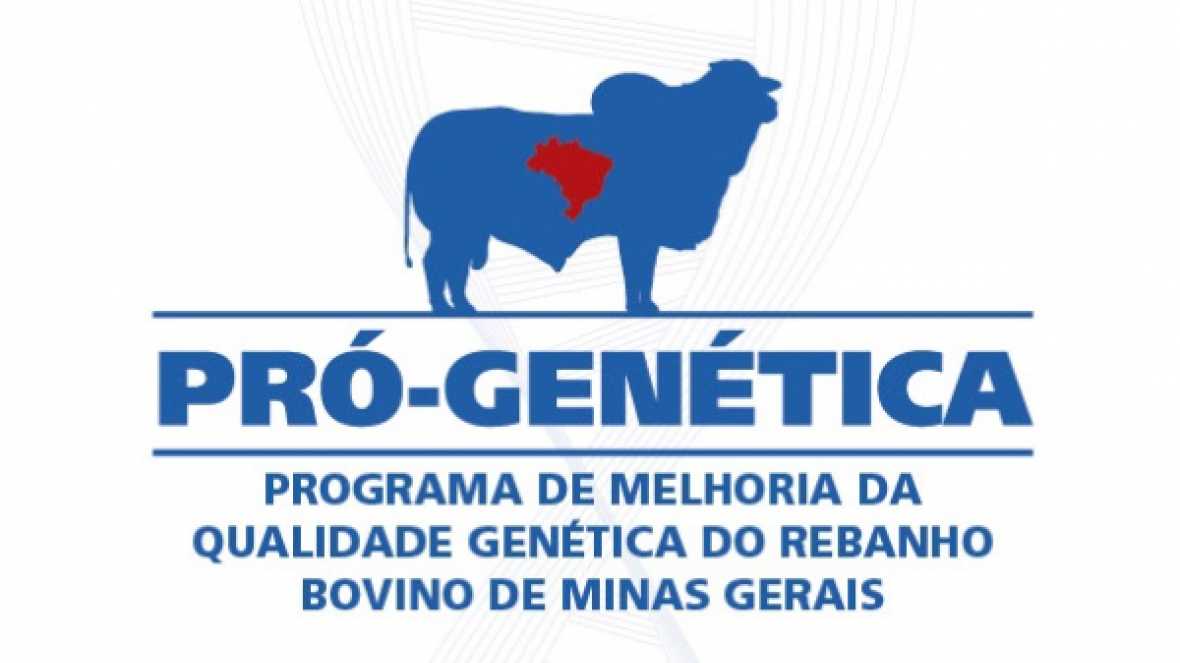 Programa Pró-Fêmeas será lançado pelo Governo de Minas