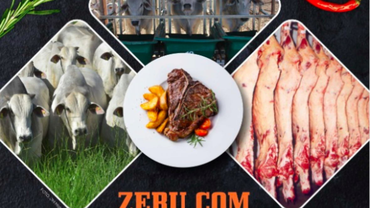 Com fila de espera, inscrições para Programa Carne de Qualidade terminam, superando expectativas