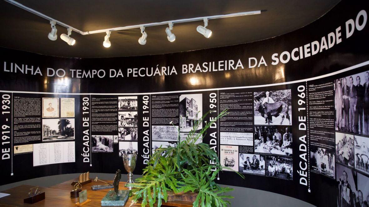 17ª ExpoGenética: projeto Zebu na Universidade começará na segunda-feira (19)