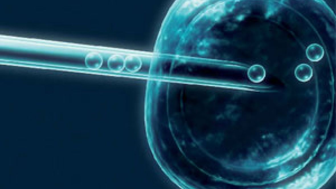 República Dominicana é o mais novo mercado conquistado pela genética zebuína do Brasil