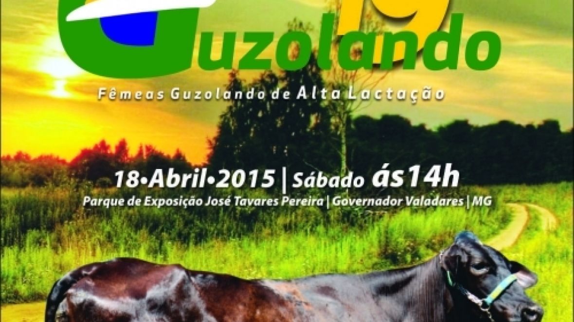 19º Taboquinha será primeiro leilão chancelado pelo Pró-Fêmeas