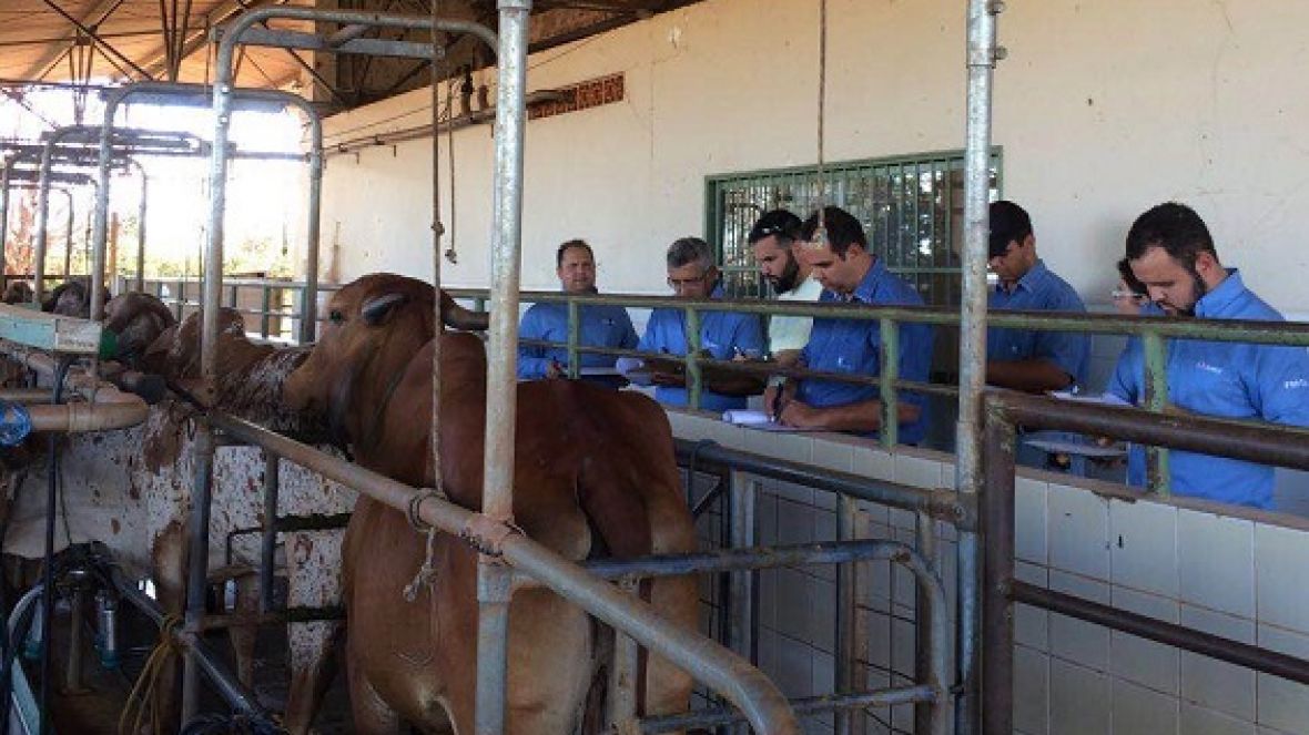 ABCZ e ABCGIL dão continuidade à reformulação do modelo de Avaliação Linear