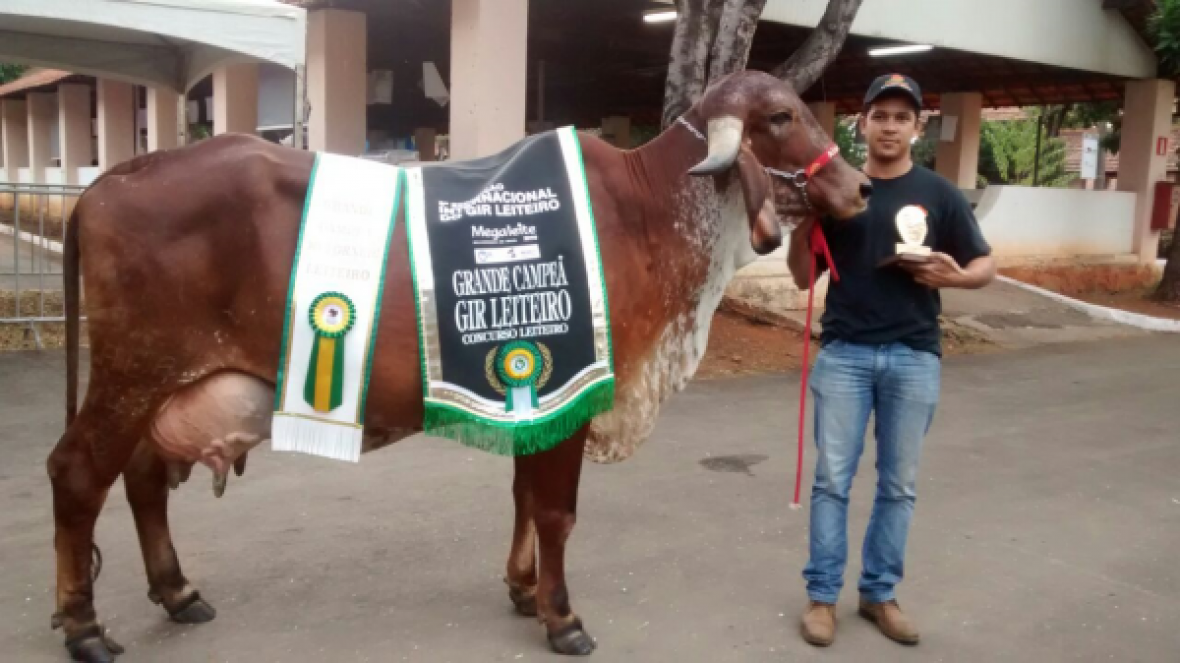 Megaleite 2016 já tem grande campeã Gir Leiteiro do torneio
