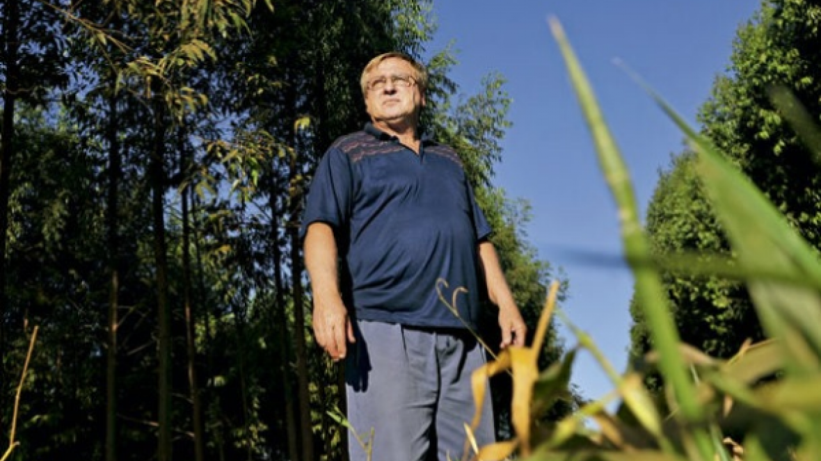 Referência em ILPF, João K, dará palestra em Dia de Campo da ExpoZebu Dinâmica