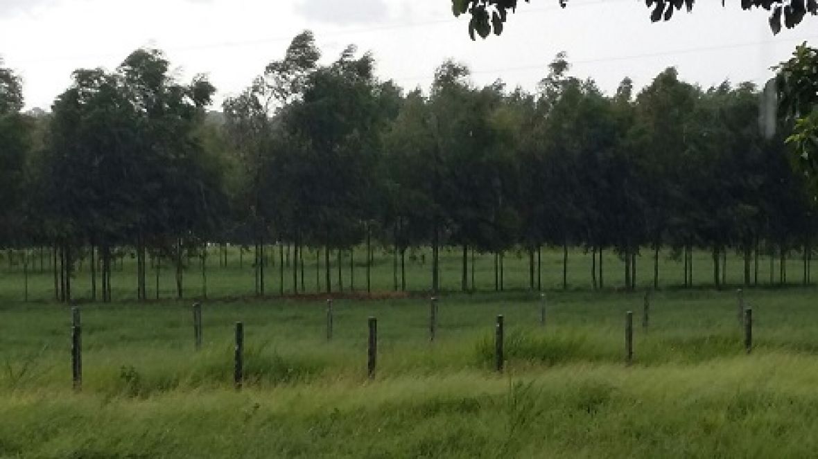 Inscrições abertas para o 4º Concurso Leiteiro Natural 