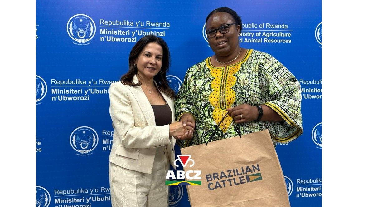 Missão da ABCZ e Brazilian Cattle avança em Ruanda com rodada de negócios e agenda institucional