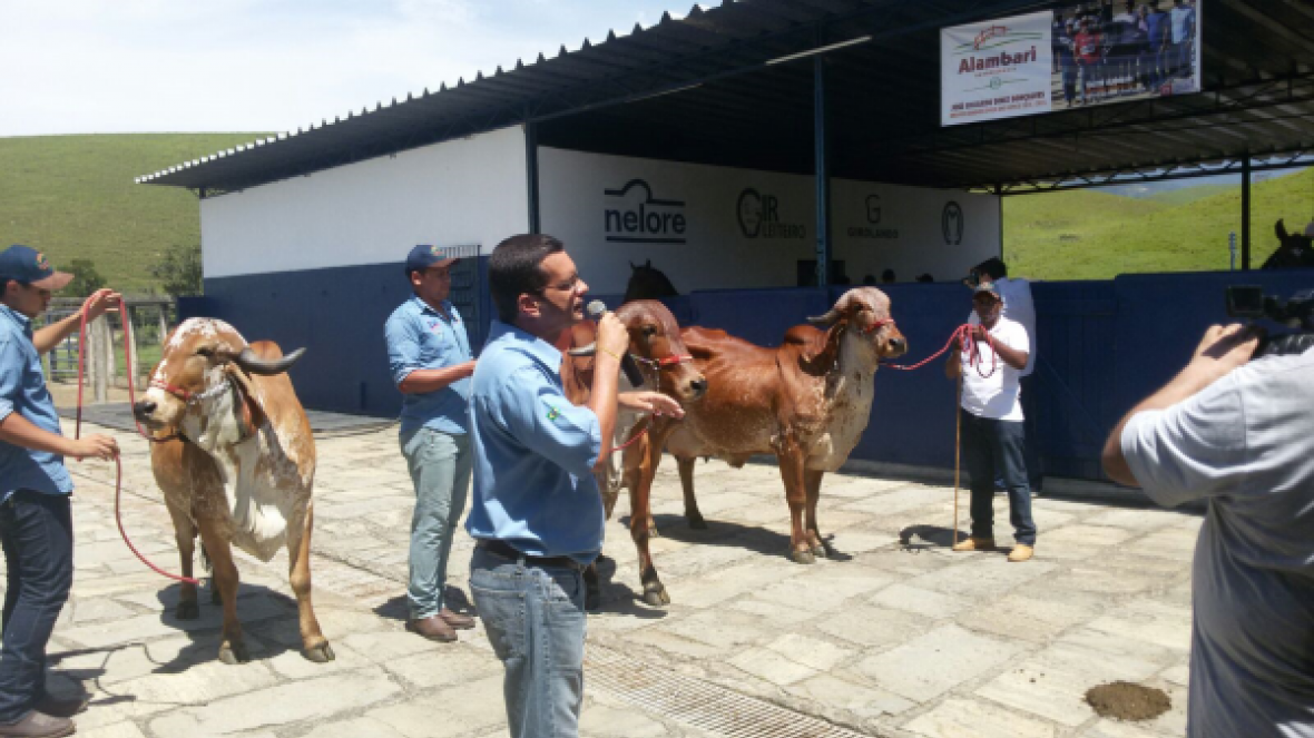 Dia de Campo da Fazenda Bom Jardim apresenta avanços da pecuária zebuína 