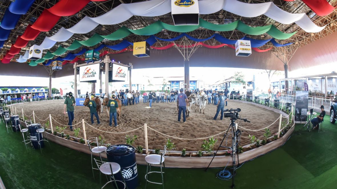 Atrações musicais gratuitas movimentarão a ExpoLeite