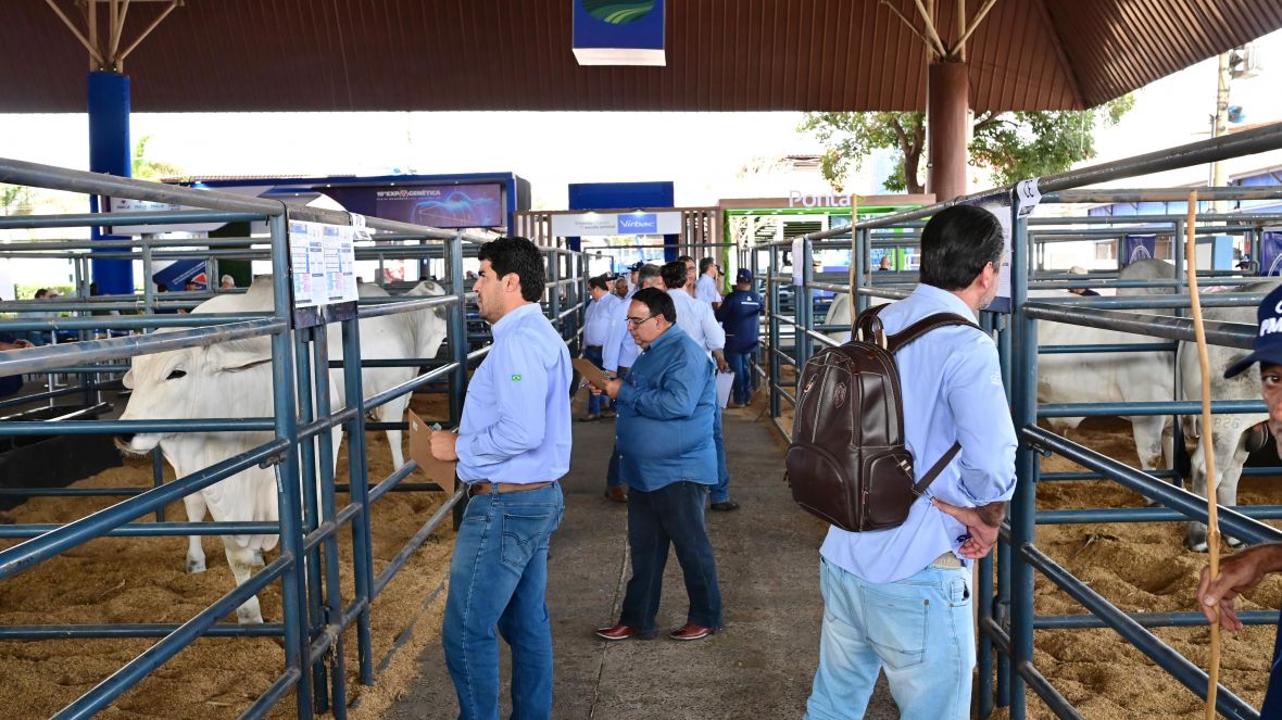 18ª ExpoGenética: criadores e técnicos elegem os destaques do PNAT