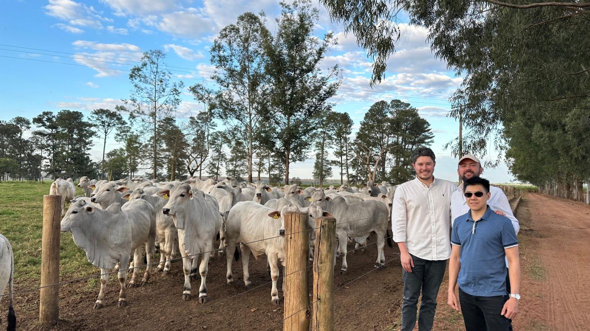 Brazilian Cattle: Brasil abre mercado de exportação de genética bovina para a Indonésia