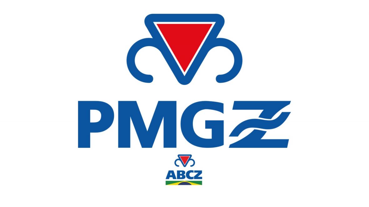 Conheça os novos membros das comissões do PMGZ