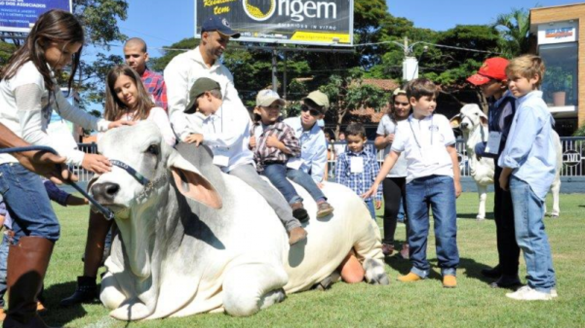 A criançada adorou o Crescendo com o Brahman