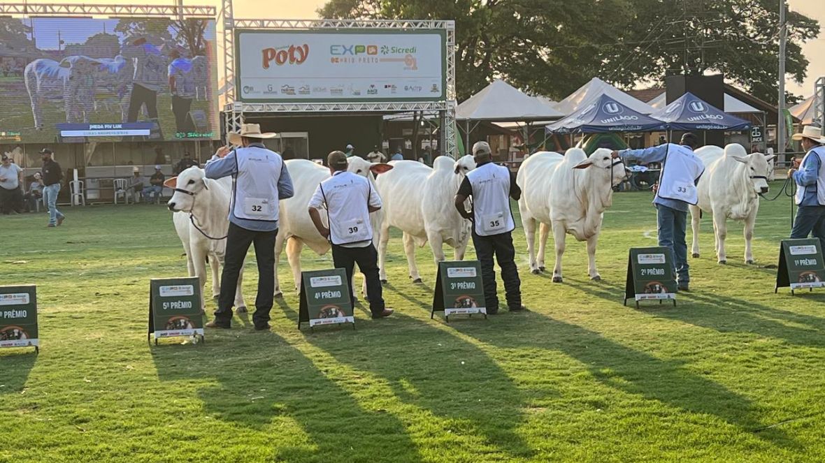 ABCZ marca presença na Expo Rio Preto