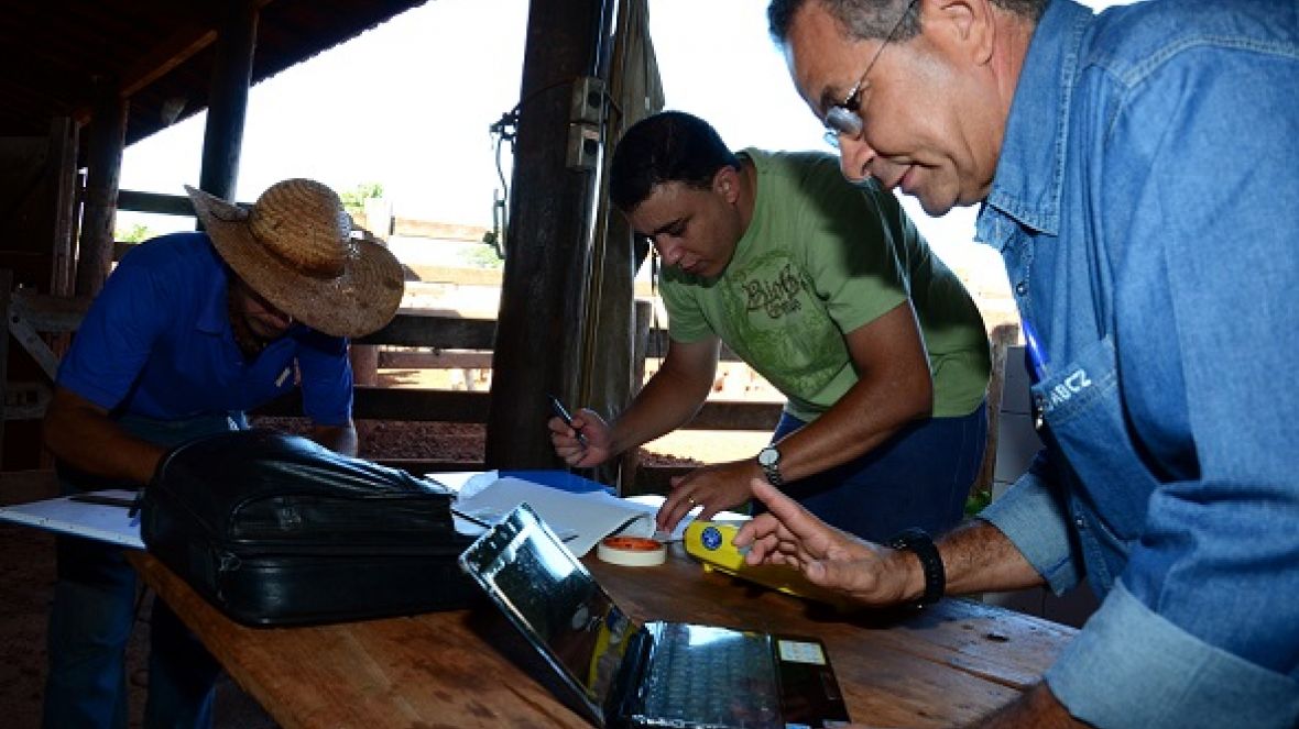 Pesquisa mostra que 93,28% dos associados estão satisfeitos com a ABCZ