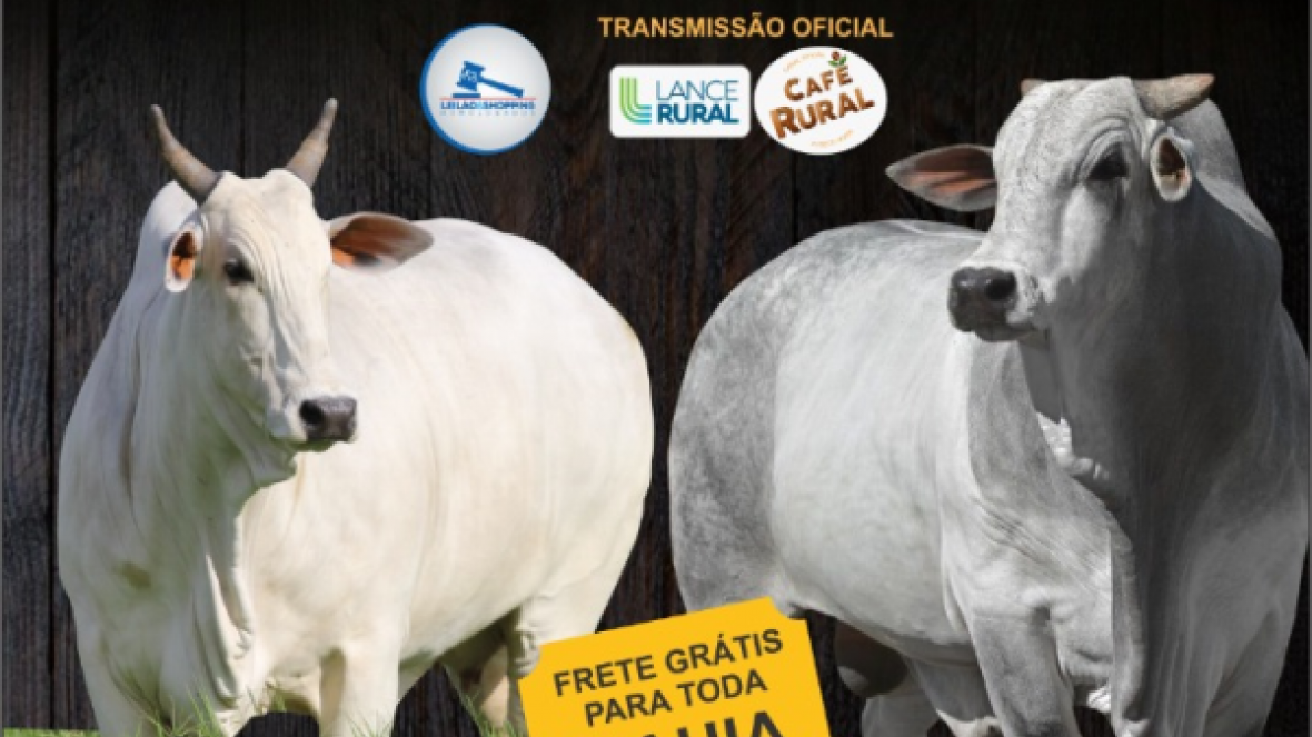 'Leilão Virtual Fazenda Gramado' será realizado neste sábado (27)