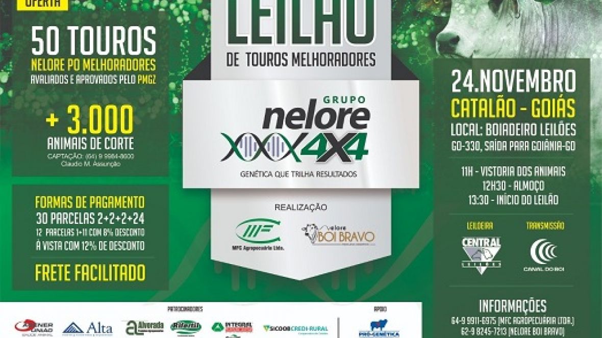 Leilão Nelore 4X4? oferece 50 touros em Catalão (GO)