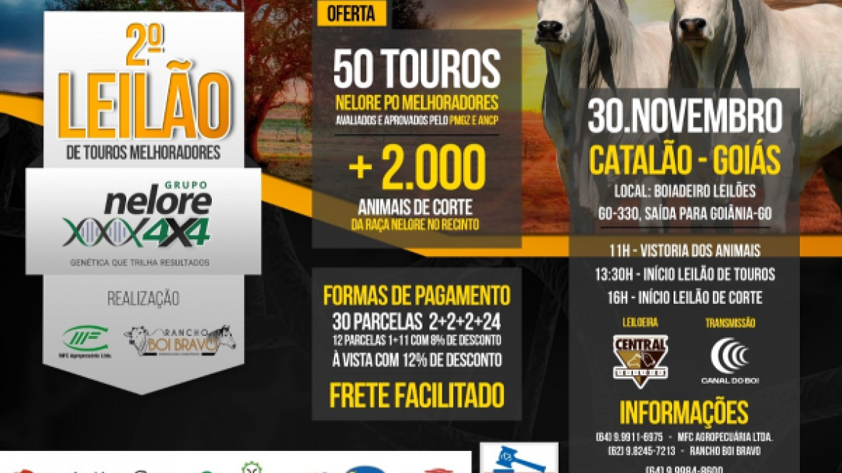 ?2º Leilão de Touros Melhoradores Nelore 4x4? vai ofertar mais de 50 animais PO