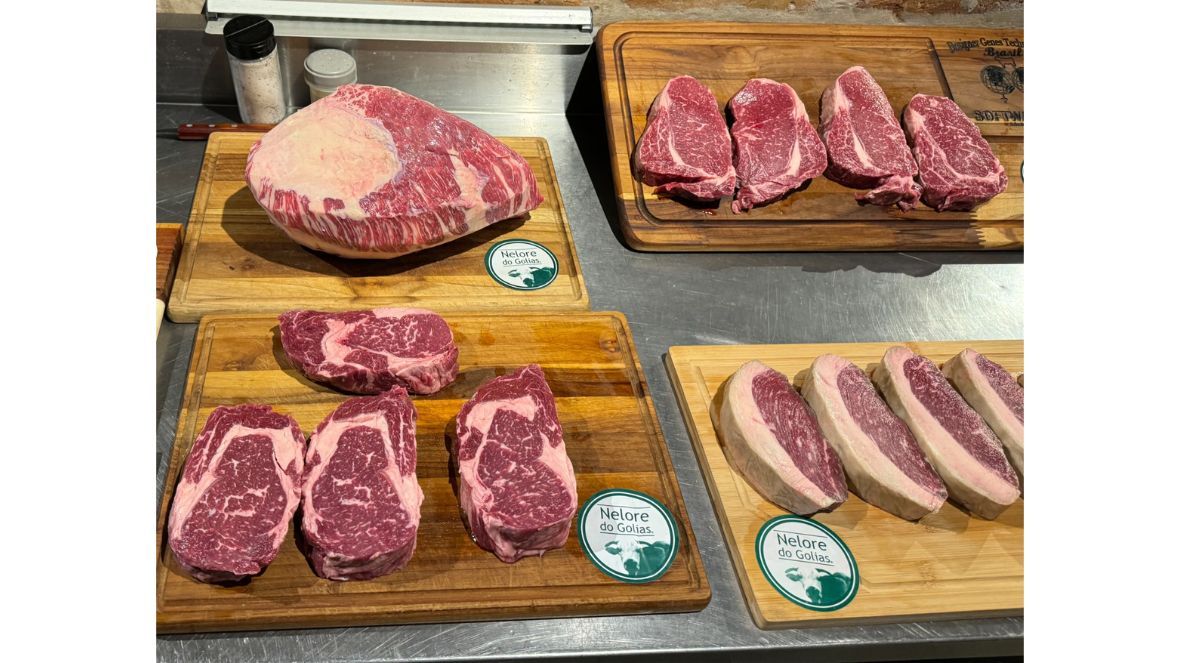 Ícones da culinária espanhola apreciam carne de Zebu brasileiro