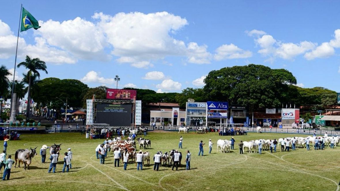 89ª ExpoZebu: primeiras horas de inscrições de animais impressionam e já registram 39% de ocupação