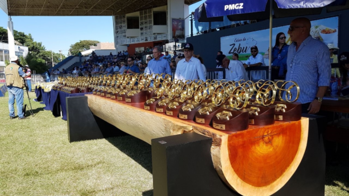 ExpoZebu 2018: Grandes Campeões serão definidos neste sábado (05)