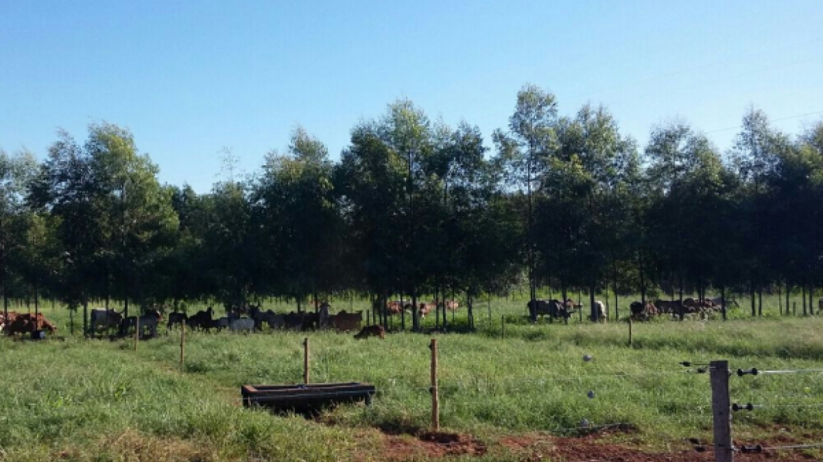 PMGZ Leite realizará 1ª pesagem do Concurso Leiteiro Natural na próxima terça-feira