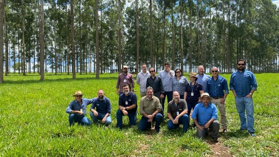 ABCZ participa de imersão com Embrapa Pecuária Sudeste para conhecer ferramenta de rastreabilidade de bovinos