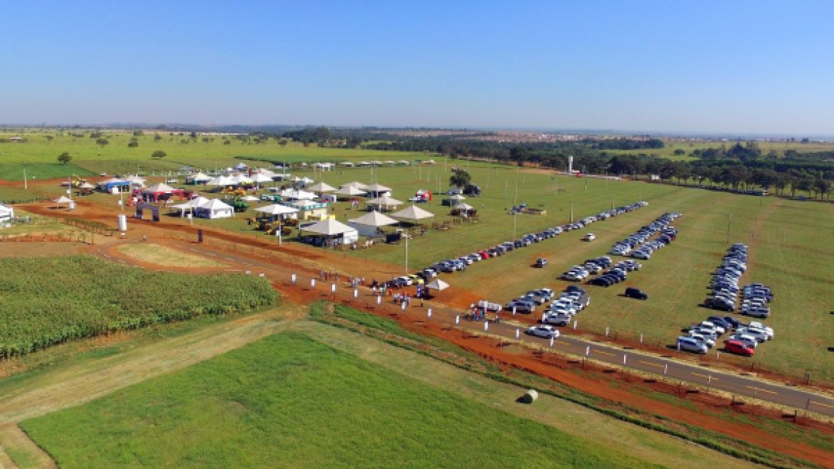 Dia de Campo da ExpoZebu Dinâmica terá rodada de negócios
